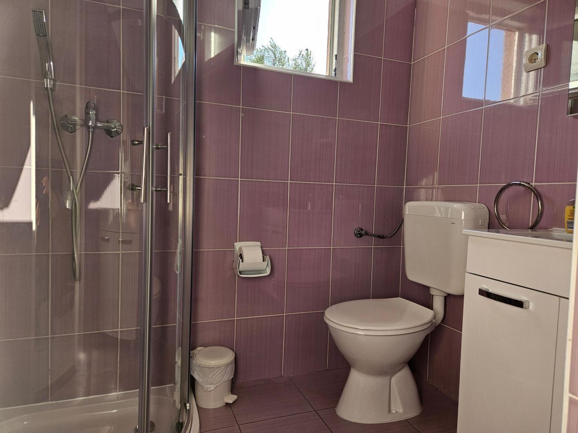 Apartment Benic *
